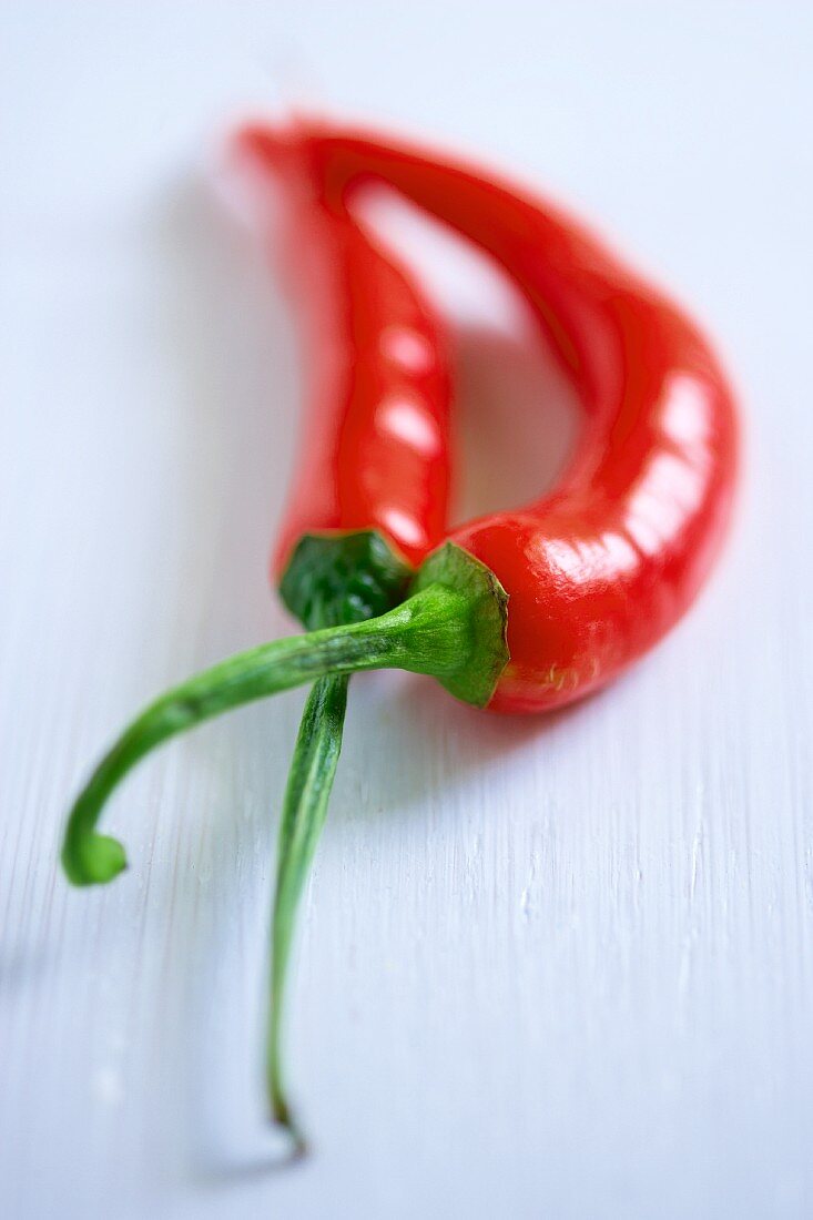 Two fresh red chilli peppers