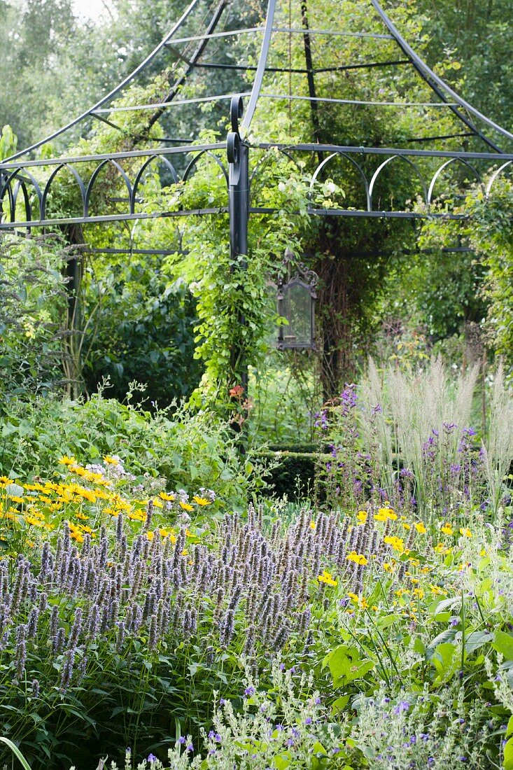 Delicate metal gazebo amongst flowering perennials