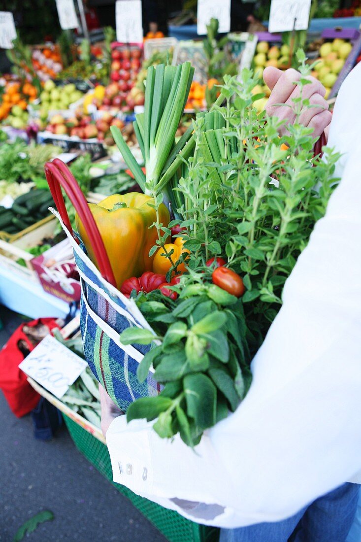 Fresh vegetables and herbs in a checked shopping bag