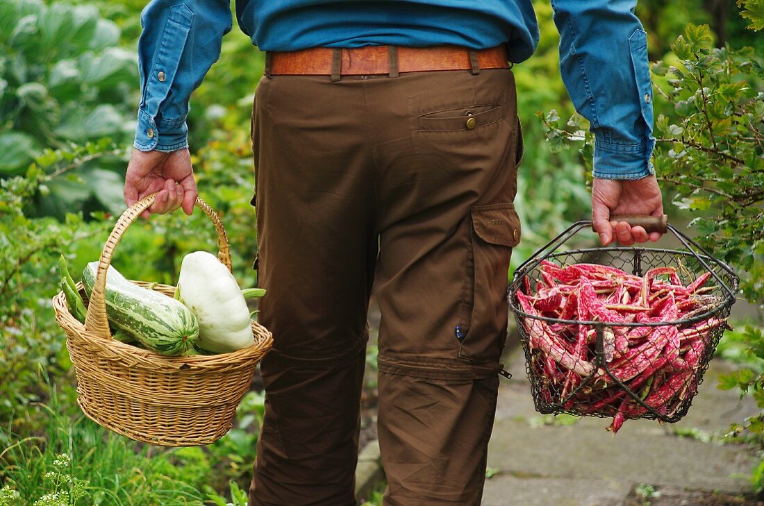 Mann trägt Gemüseernte in zwei Körben aus dem Garten