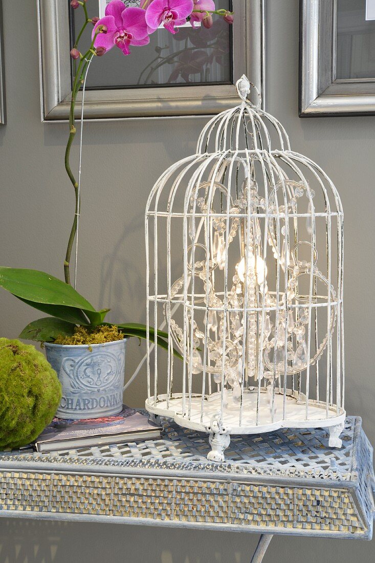 Chrystal chandelier in old birdcage on delicate, wire mesh side table