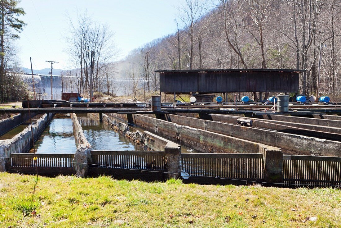 A trout farm with a dam in background