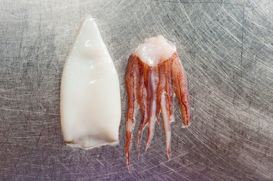 A squid on a metal surface