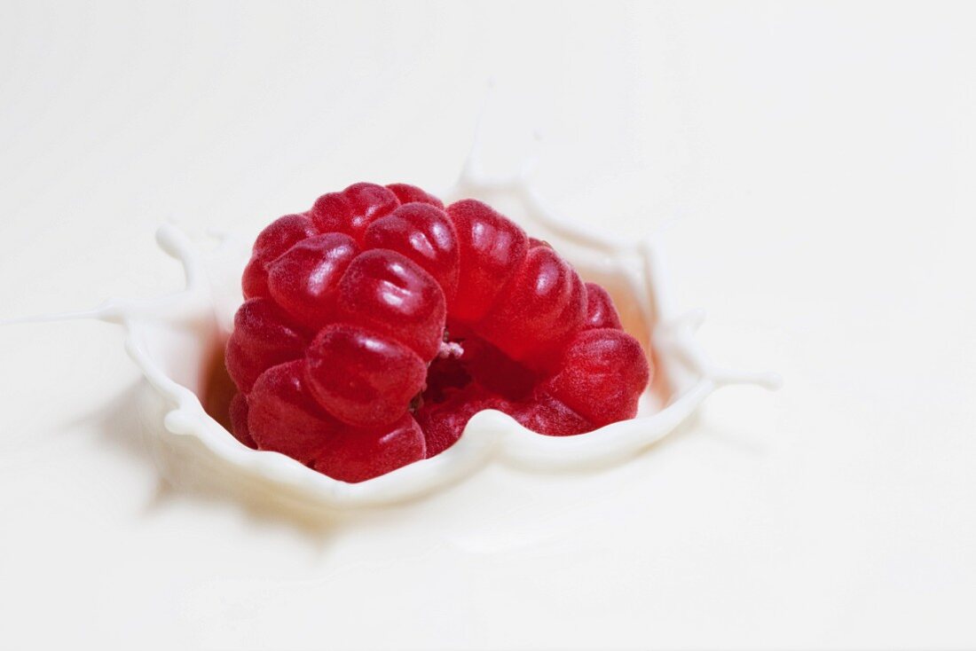 A fresh raspberry falling into milk