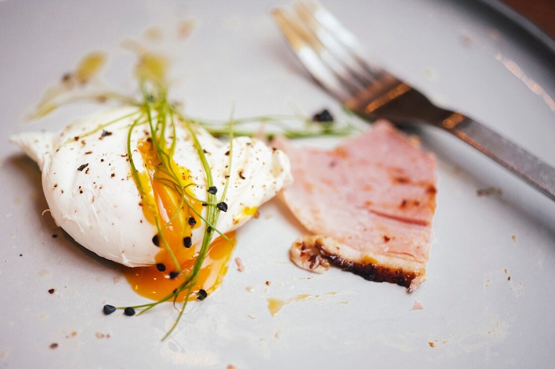 A poached egg with ham on plate