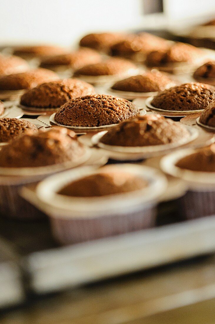 Frisch gebackene Schokoladenmuffins in Papierförmchen