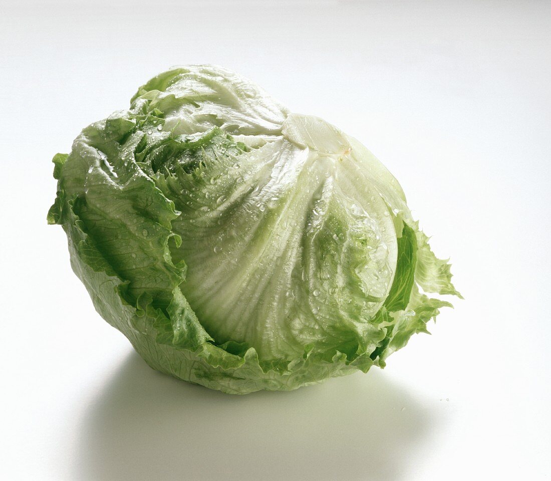 A Head of Iceberg Lettuce