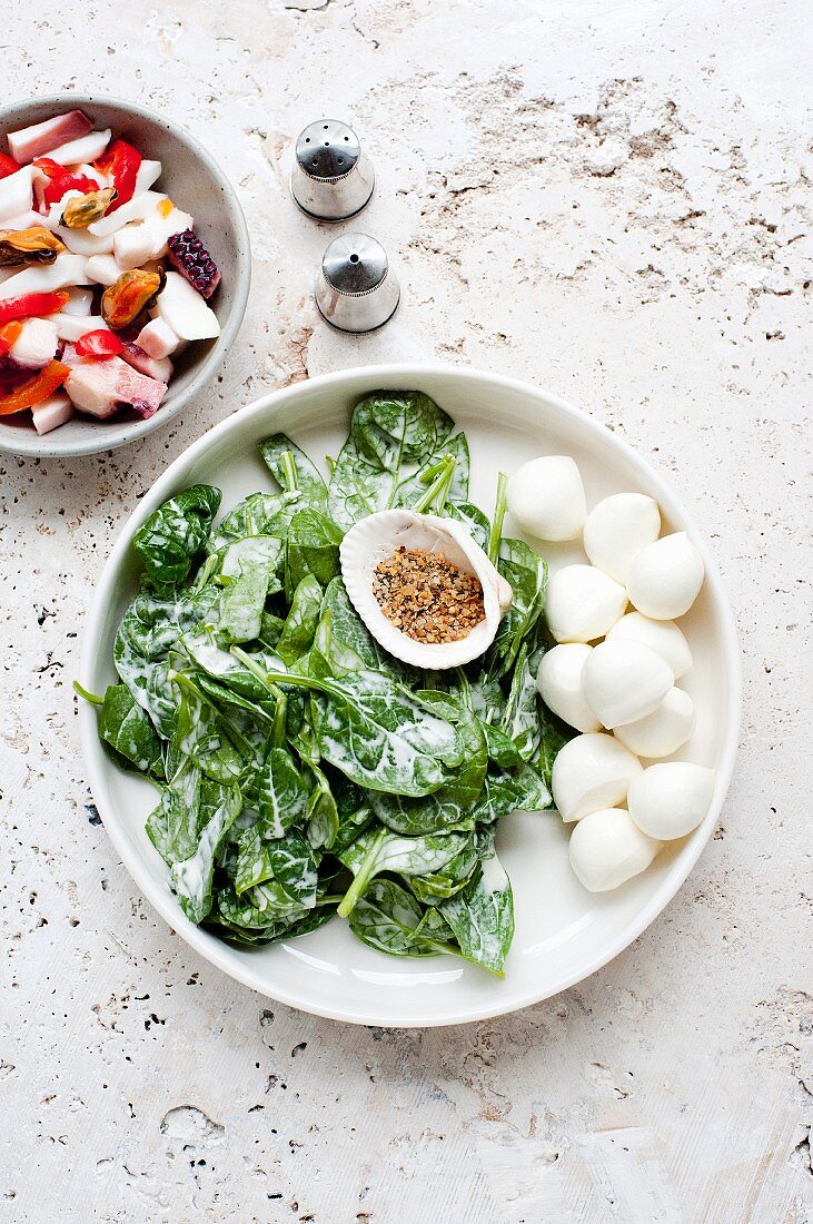 A seafood salad and mozzarella with spinach