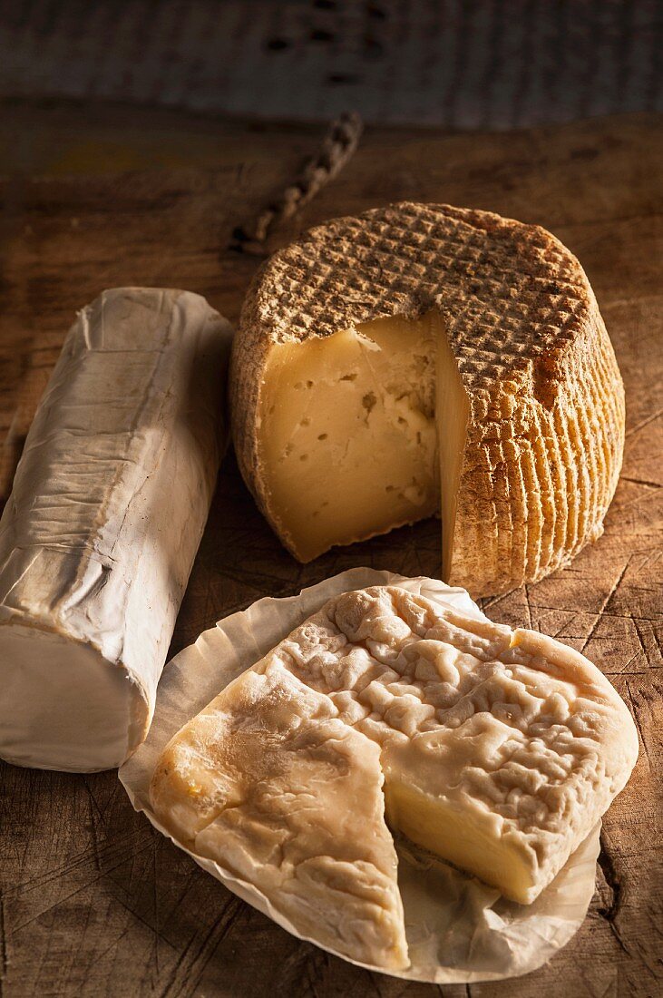 Various types of Italian goat's cheese