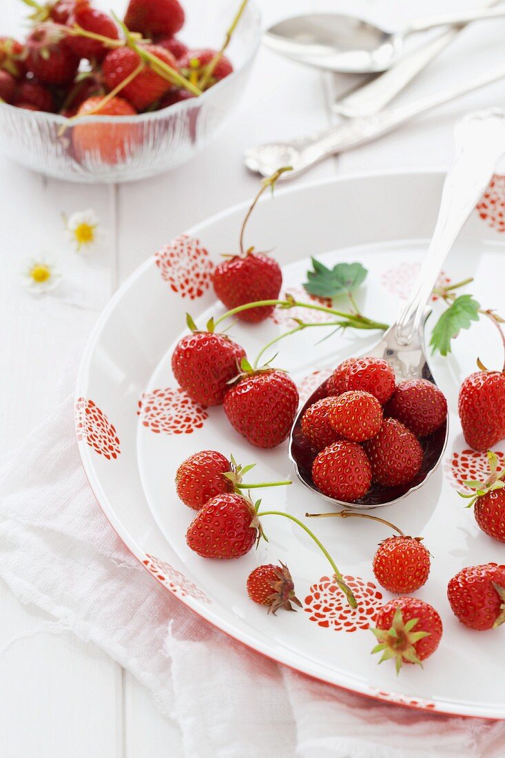 Fresh strawberries on a red-and-white patterned plate