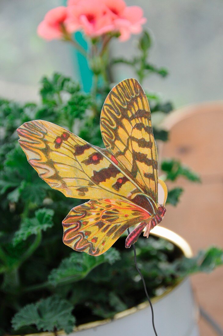 Paper butterfly attached to wire using washi tape decorating potted geraniums