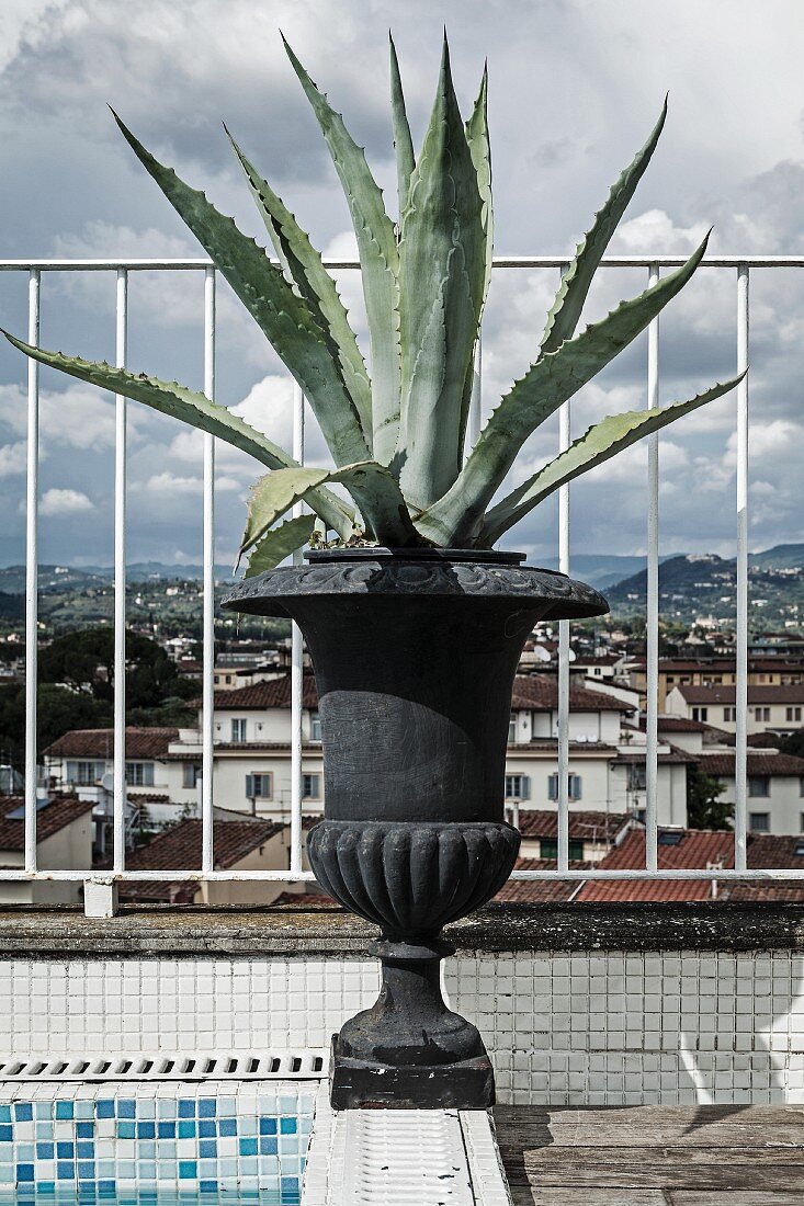 Schwarze Amphore mit Agave am Wasserbecken auf Dachterrasse, im Hintergrund Stadtansicht Florenz