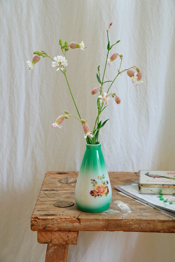 Green vintage vase of wild flowers (bladder campion) on rustic wooden stool in front of white linen curtain