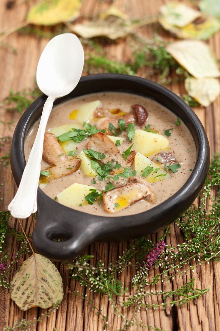 Porcini mushrooms soup with potatoes
