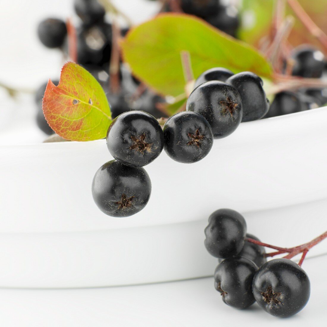 Aronia berries with leaves in a bowl