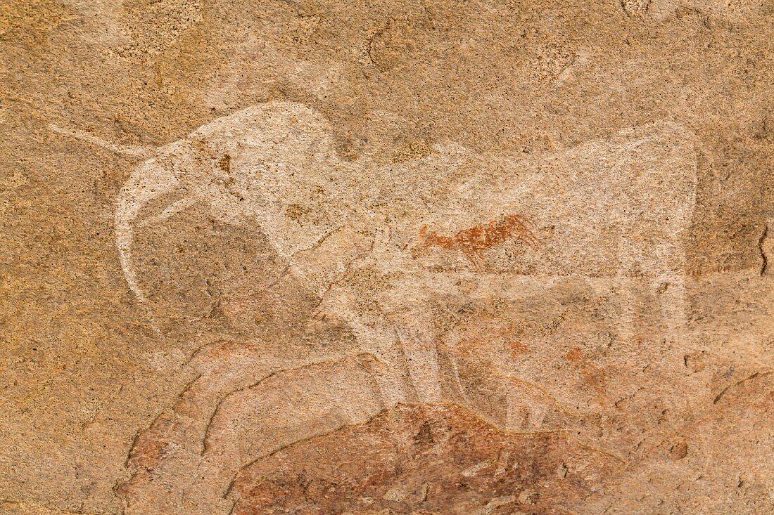 Prähistorische Felszeichnung 'White Elephant', Erongo-Gebirge, Namibia