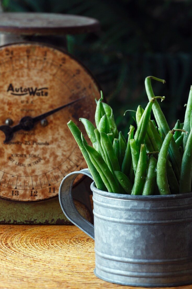 Fresh green beans on an old pair of kitchen scales