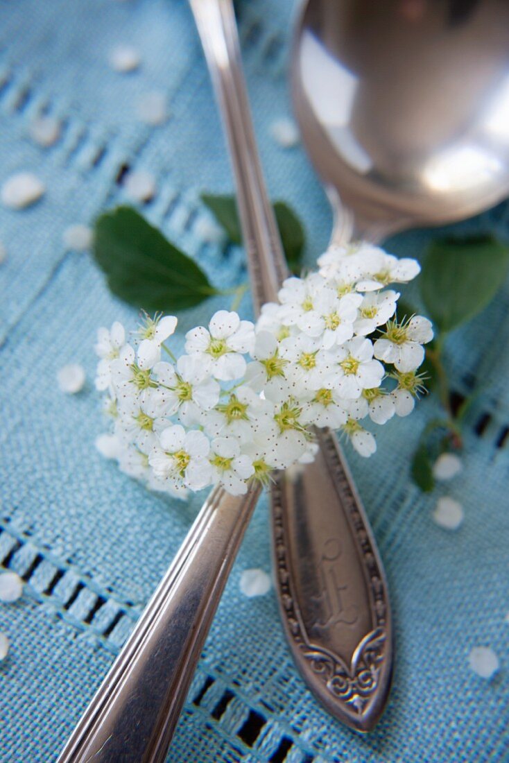 An antique spoon and blossom on turquoise fabric