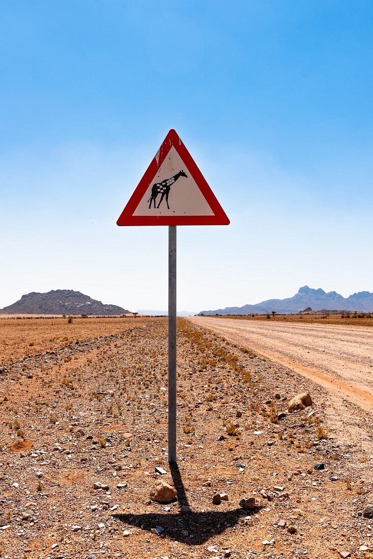 A road sign: Beware of giraffe, NamibRand private reserve, Namibia