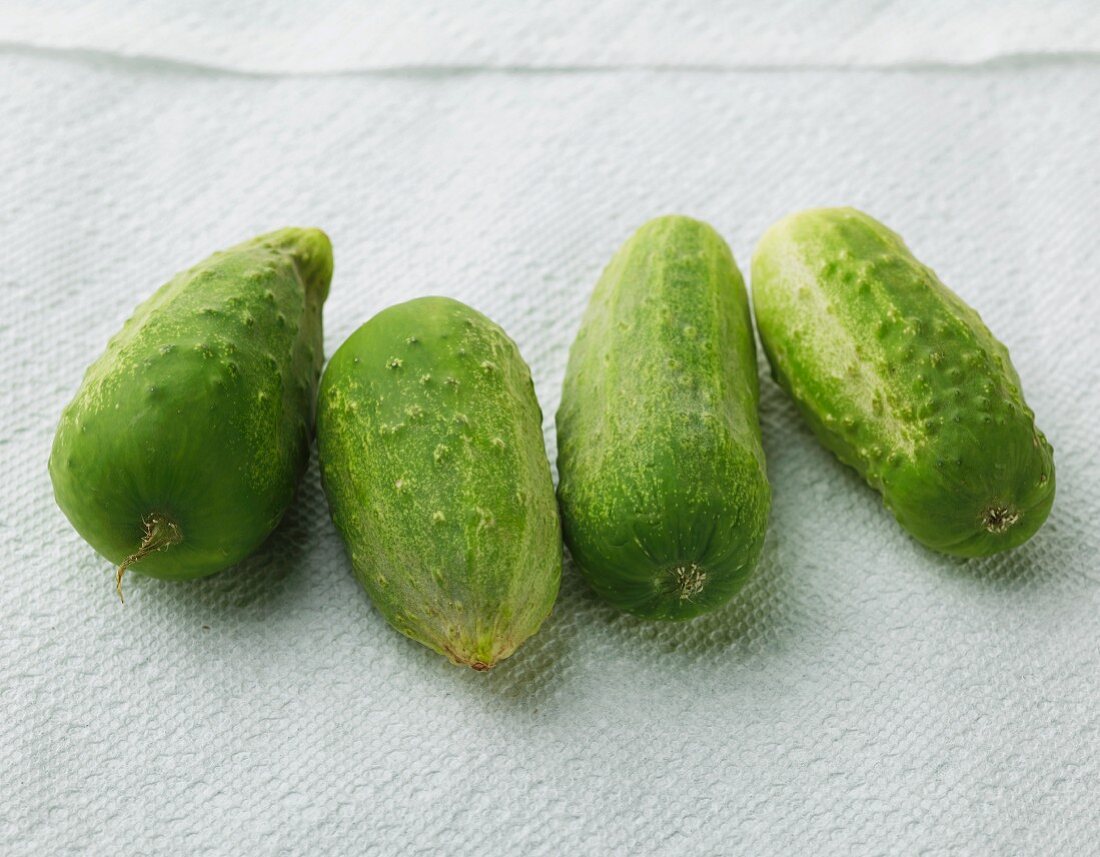 Four small gherkins on a piece of kitchen towel