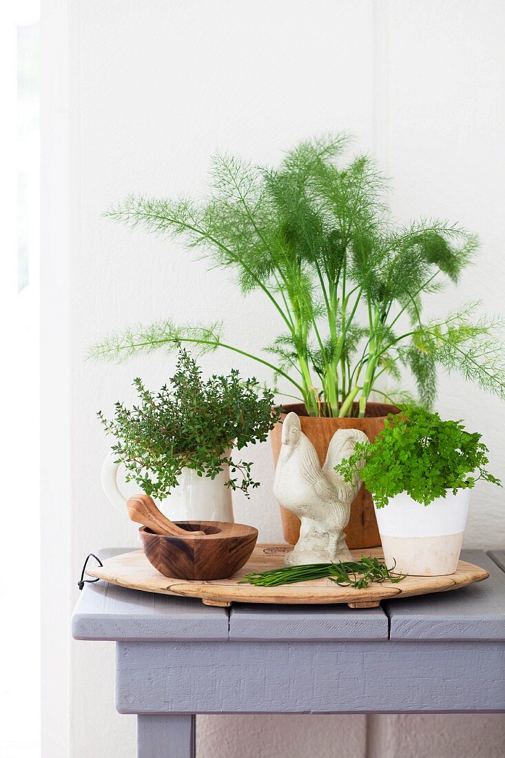 An arrangement of kitchen herbs, a wooden water and a cockerel figurine