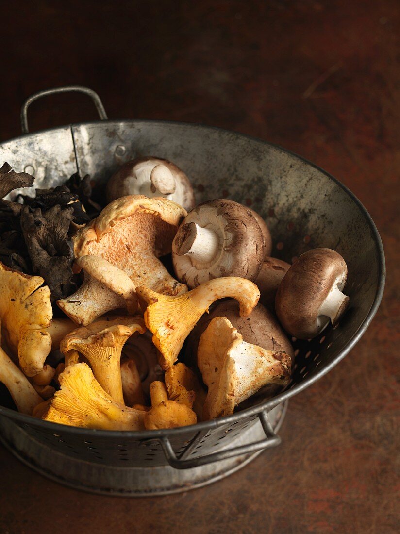 Various mushrooms in a colander