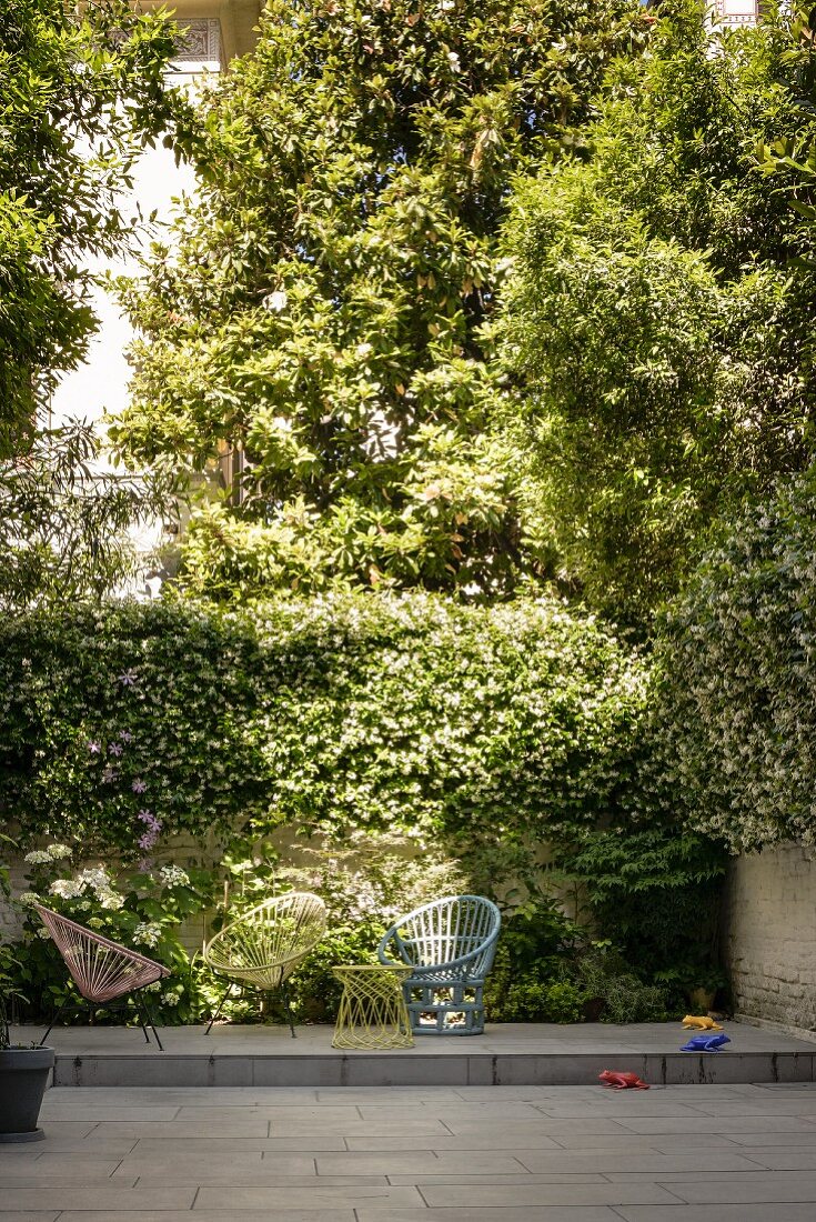 Grey tiled courtyard with wall lushly covered in plants and modern wicker easy chairs