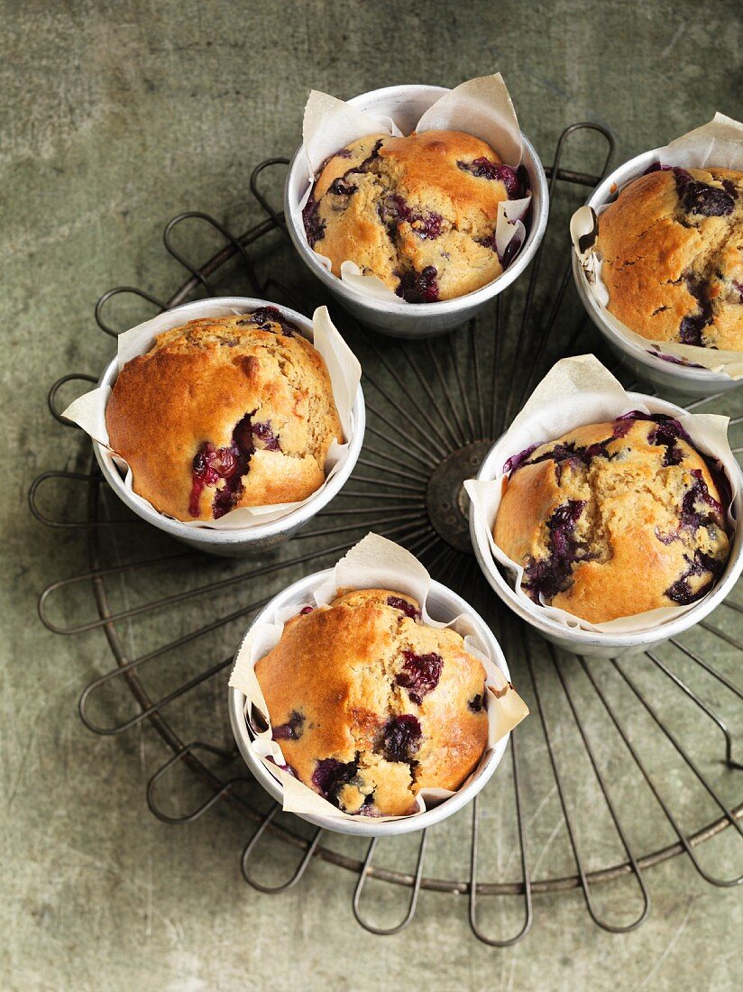 Blueberry coffee muffins on a wire rack