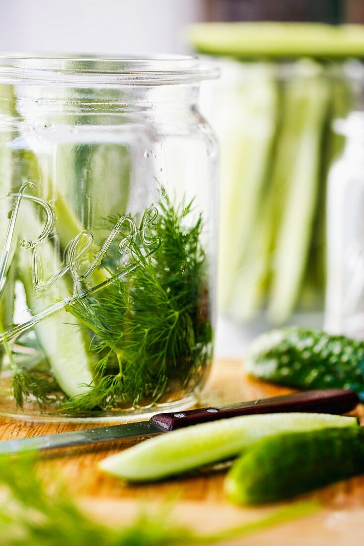 Gherkins being pickled