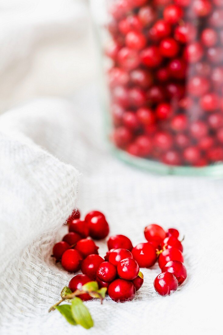 Preiselbeeren auf Geschirrtuch und im Glas