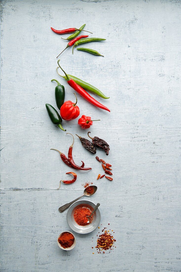 Chili: frisch, getrocknet, Chilipulver & Chiliflocken