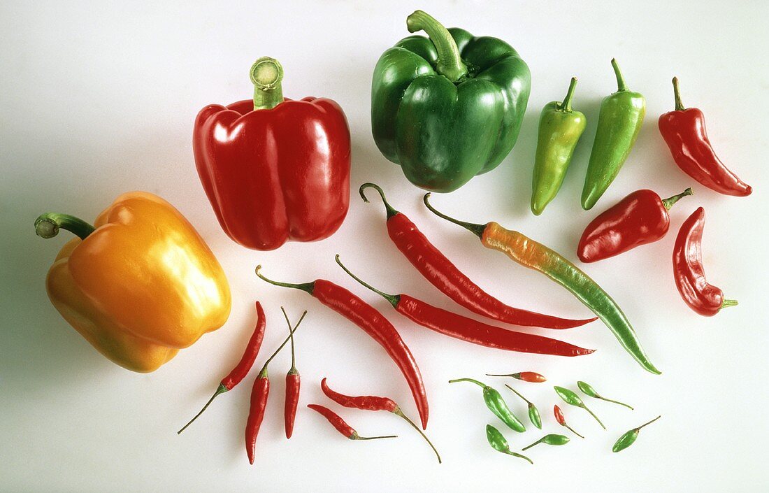 Verschiedene Paprika & verschiedene Chilischoten