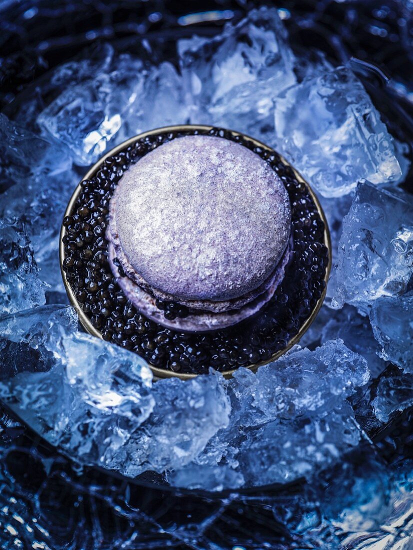 A purple macaroon with caviar