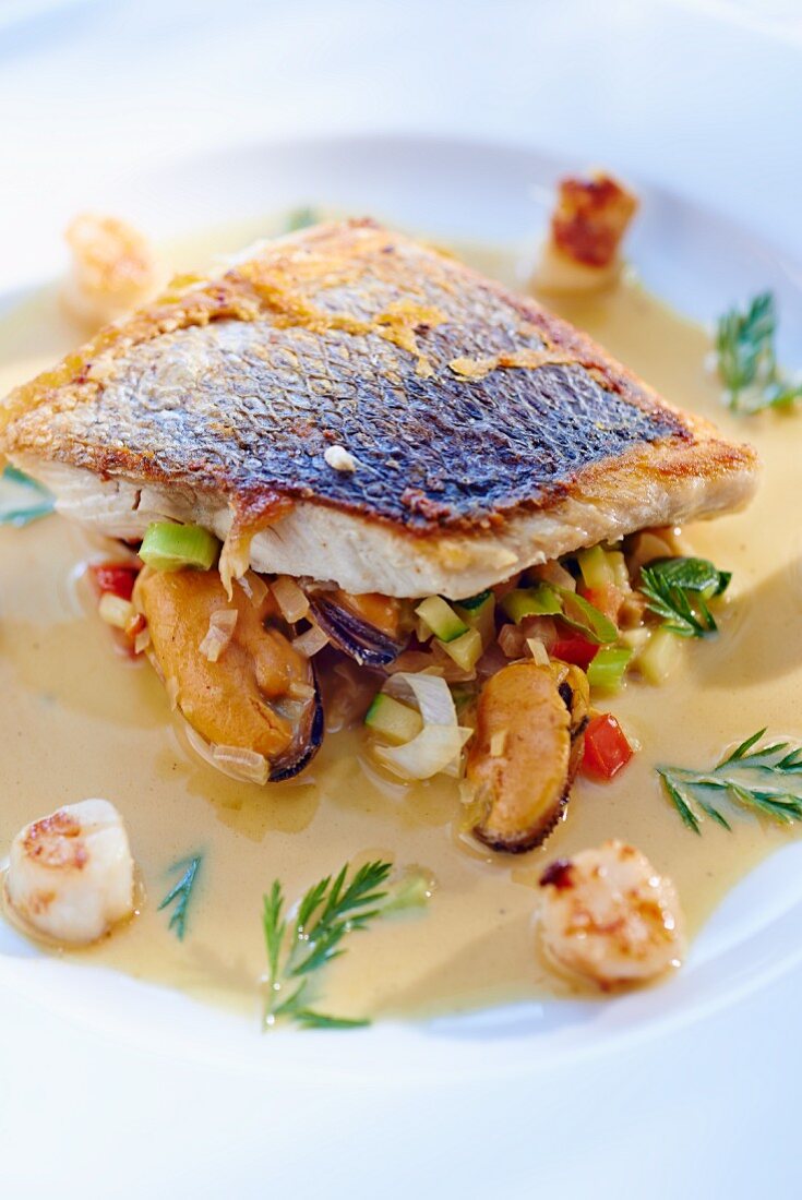 Sea bass with mussel ragout