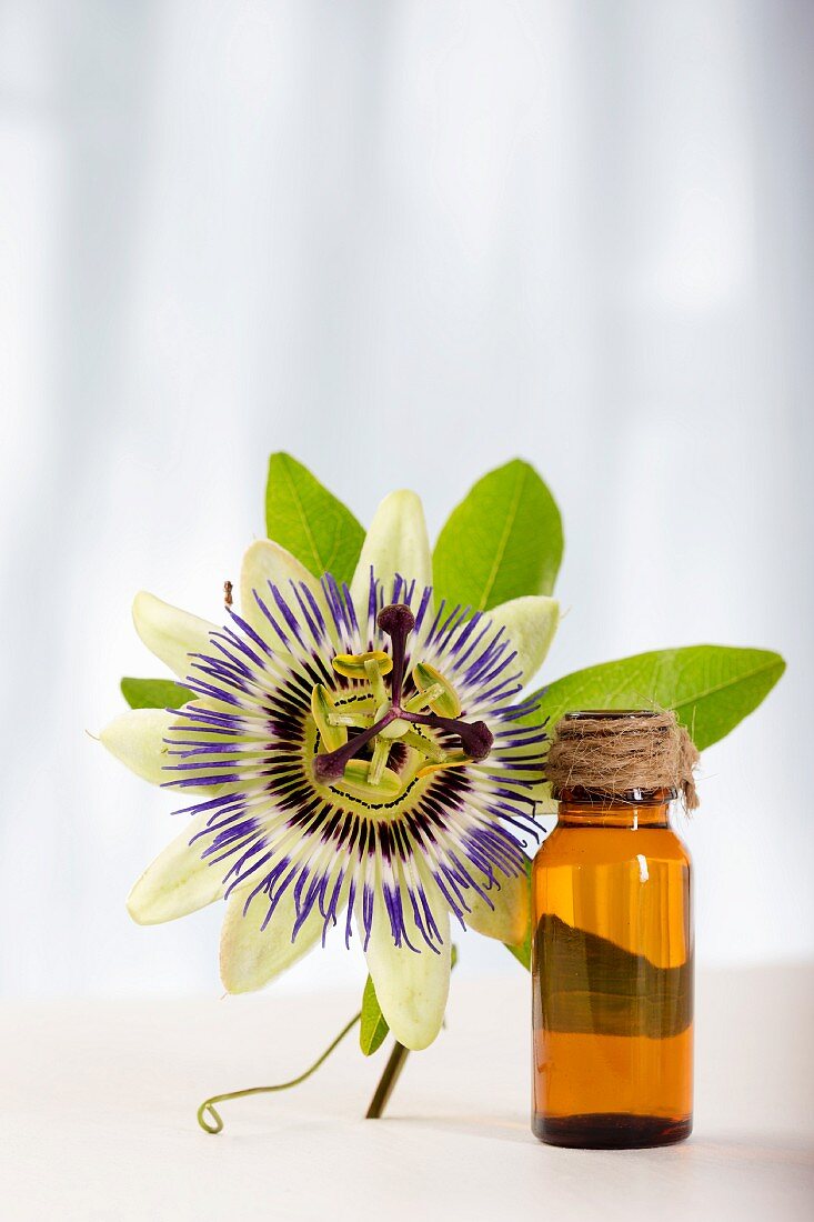 A bottle of essential passionflower oil and passionflower