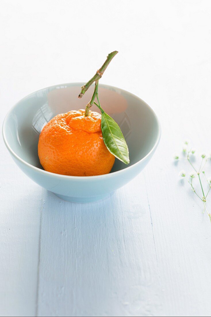 A tangerine in a bowl with a leaf