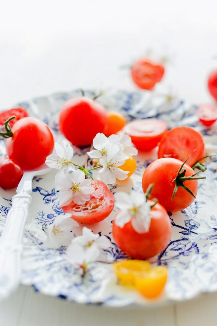 Grape tomatoes, cherry tomatoes and white cherry blossom