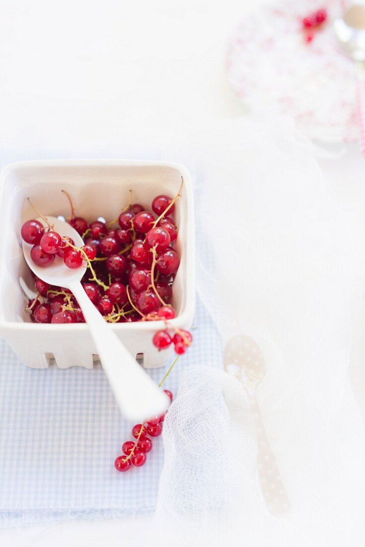 Rote Johannisbeeren im Pappschälchen mit Löffel