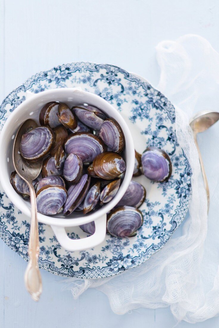 Purple clams on a vintage plate