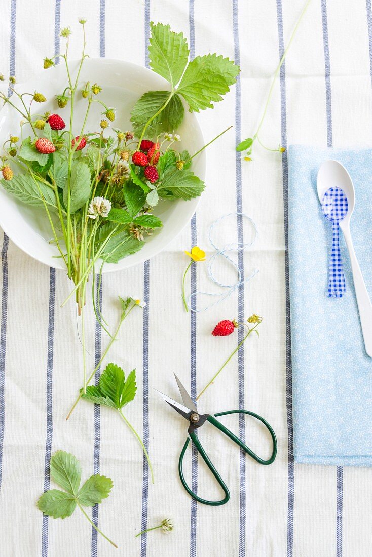 Frische Walderdbeeren mit Blättern und Blüten