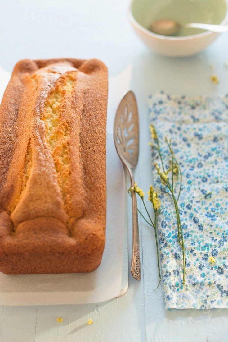 Kastenkuchen auf Servierplatte mit Kuchenheber