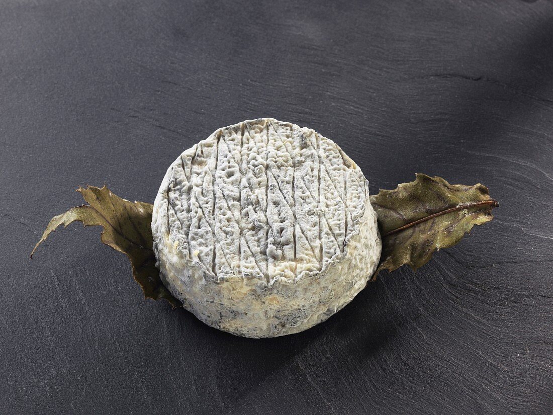 Le Mervent (French goat's cheese)