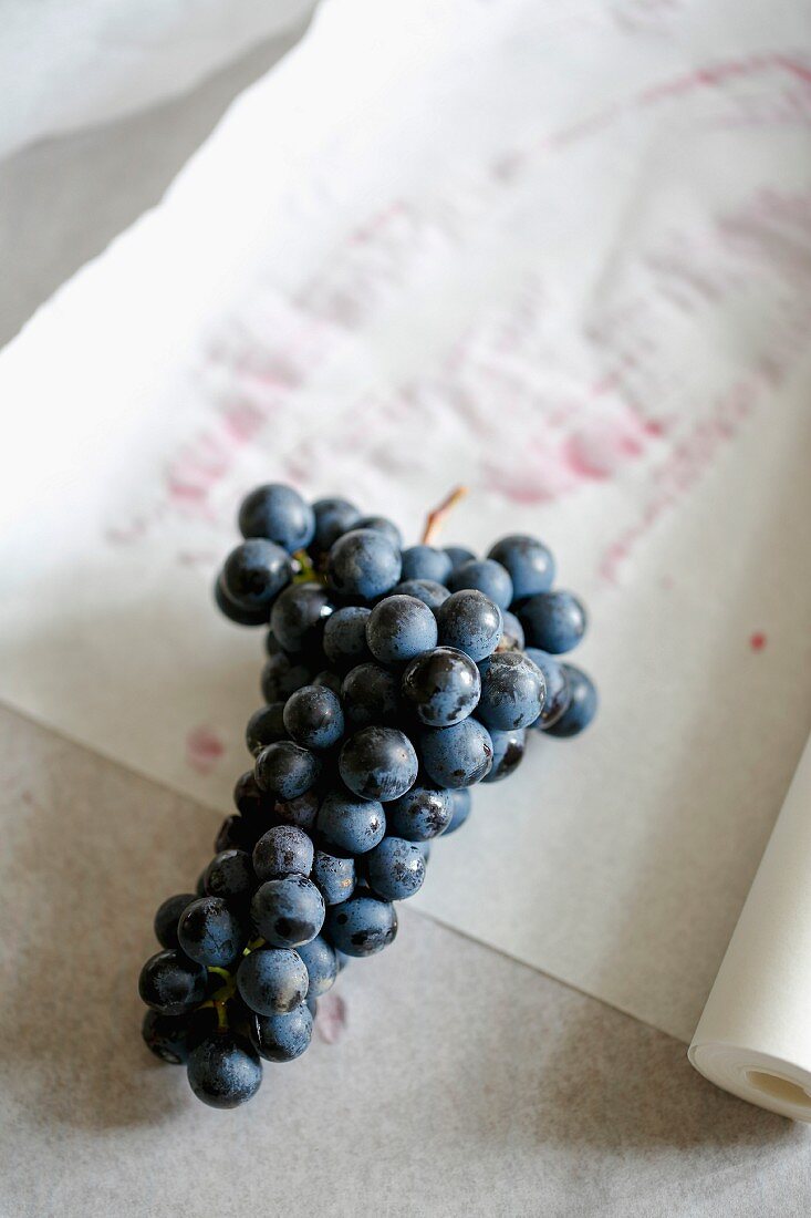 Blaue Weintrauben auf Papier