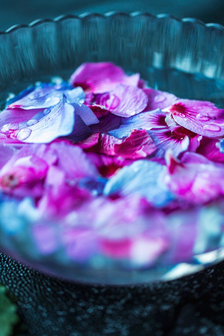 Hibiskusblütenblätter in Wasserschüssel (für Sirup)