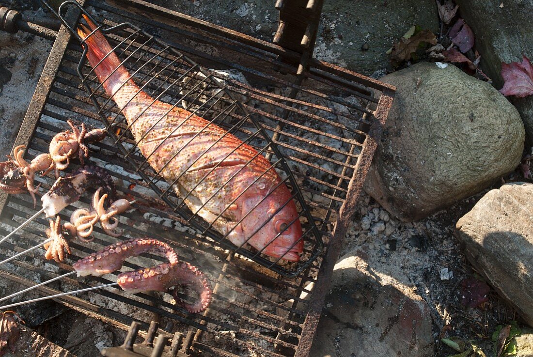 A red snapper and octopus skewers on a grill