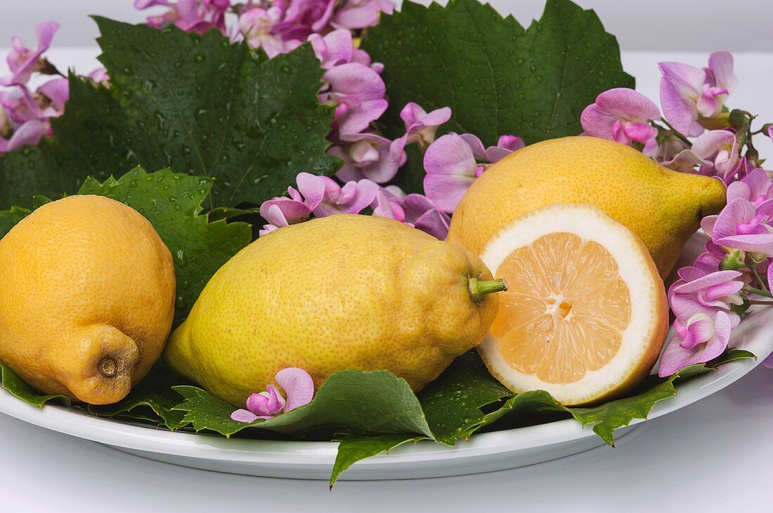 Platte mit Zitronen und Blütendeko