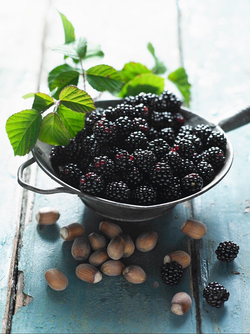 Blackberries and hazelnuts