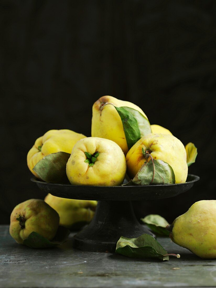 Quinces with leaves in a bowl