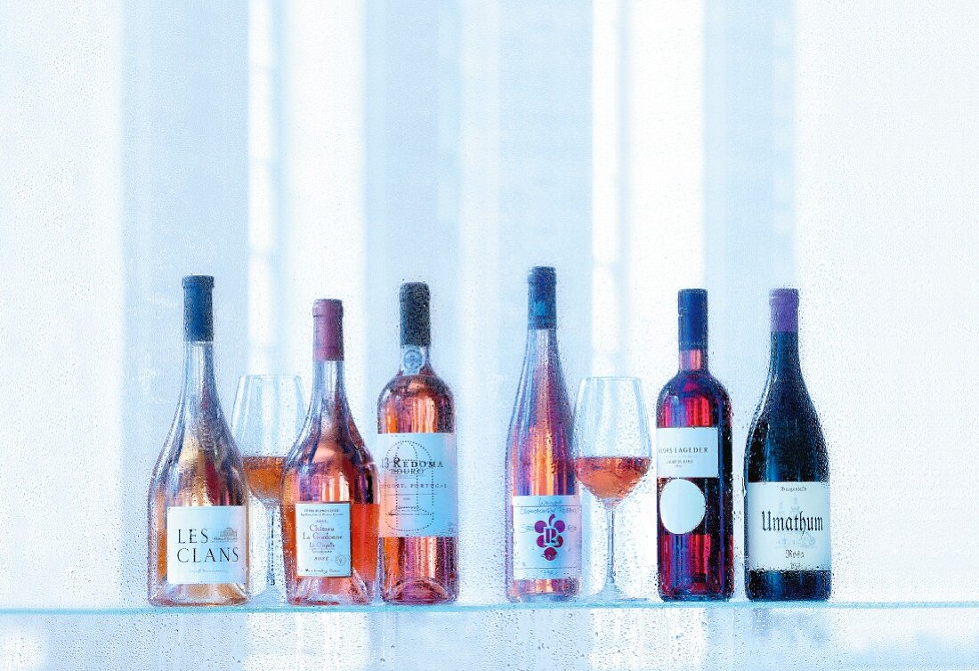 Various types of rosé wine