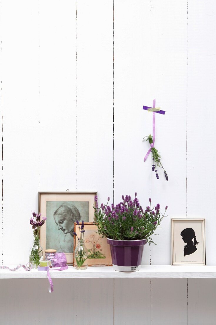 Potted lavender amongst drawings and silhouette on shelf